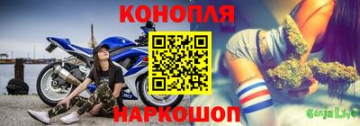 гидра Шебекино